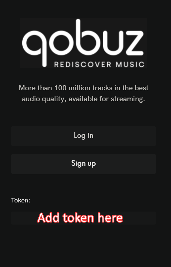Add token here